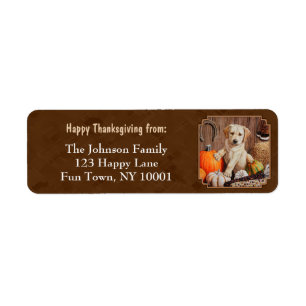 Labrador Retriever Dog & Pumpkins Brown