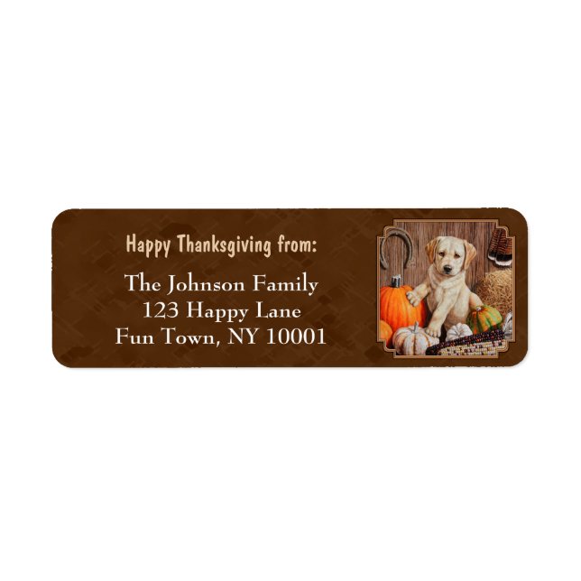 Labrador Retriever Dog & Pumpkins Brown (Front)