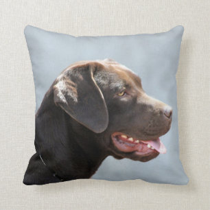 Labrador Retriever Dog square throw pillow