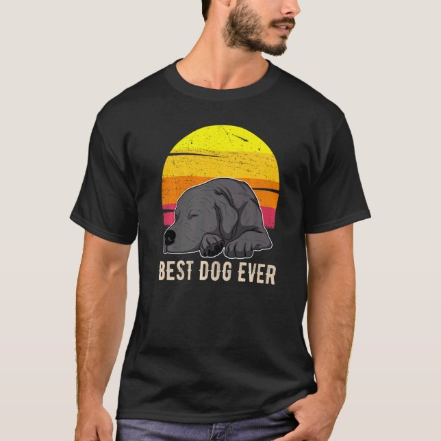 Labrador Retriever Dog Sunset  57 T-Shirt (Front)