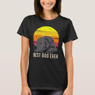 Labrador Retriever Dog Sunset 59 T-Shirt