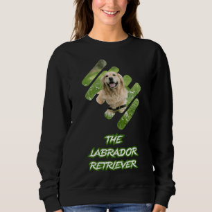 Labrador Retriever Dog Sweatshirt