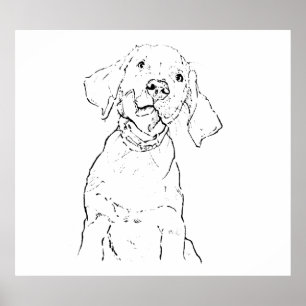 Labrador Retriever Dog Wall Art, Poster Drawing