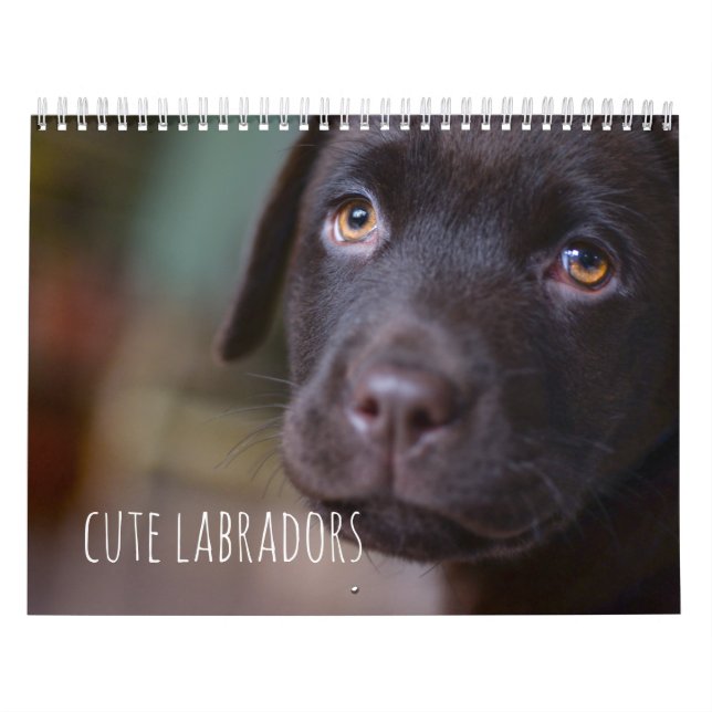 Labrador Retriever Dogs Calendar - Customisable (Cover)