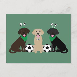 Labrador Retriever Dogs Playing Soccer Postcard