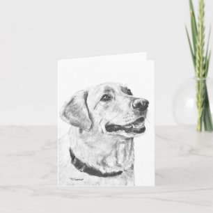 Labrador Retriever Drawing Card