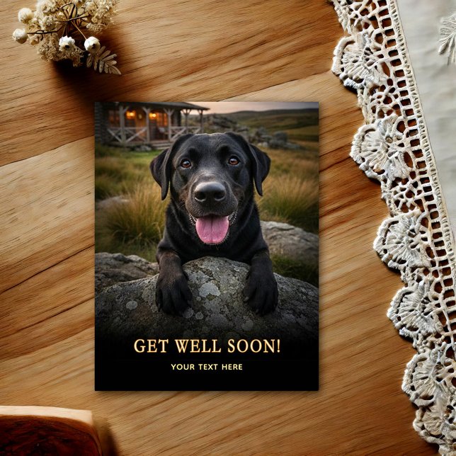Labrador Retriever Get Well Postcard  (Creator Uploaded)