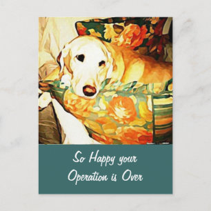 Labrador Retriever Get Well Postcard