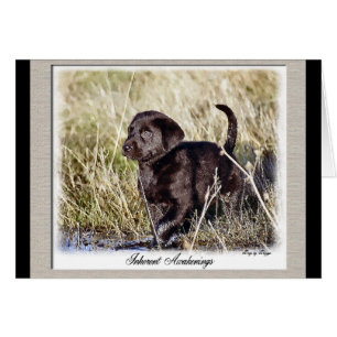 Labrador Retriever Gifts
