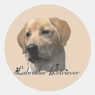 Labrador Retriever Gifts Classic Round Sticker