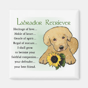 Labrador Retriever Gifts Magnet