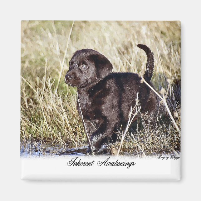 Labrador Retriever Gifts Magnet (Front)
