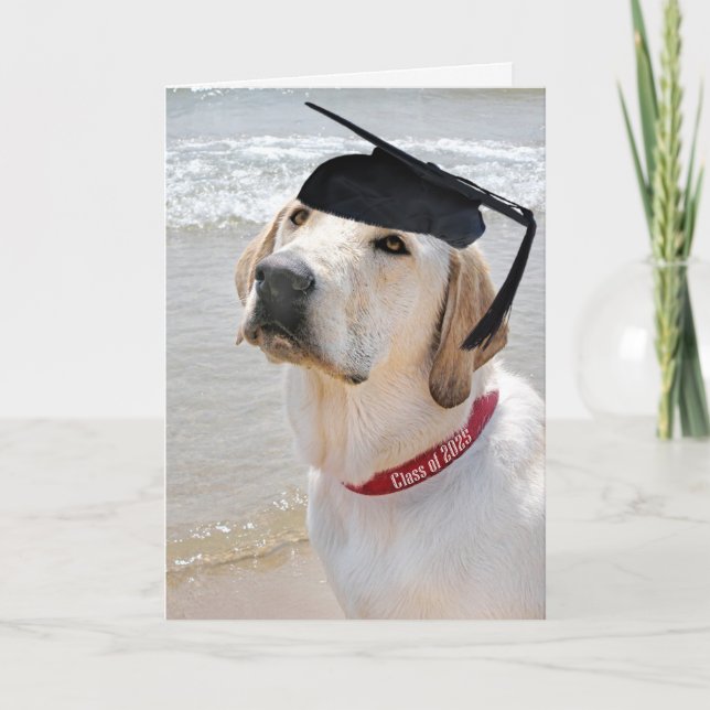 Labrador Retriever Graduation 2025 Card (Front)