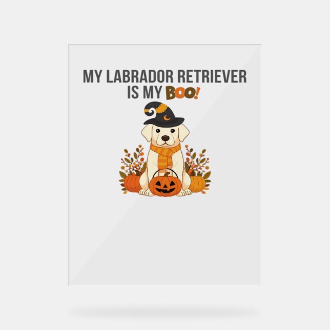 Labrador Retriever Halloween Dog  Funny Spooky Boo Acrylic Sign (Front)