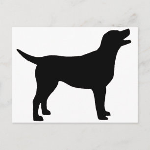 Labrador Retriever (in black) Postcard