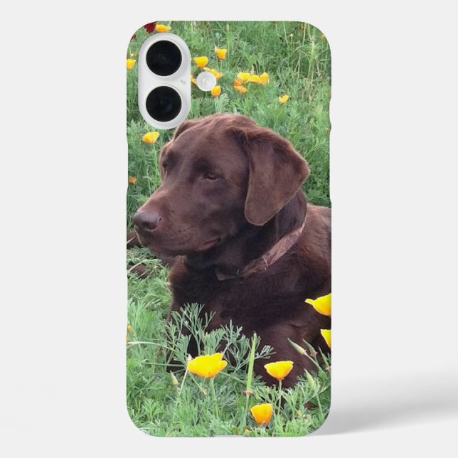 Labrador Retriever In Nature Close-Up Photograph Case-Mate iPhone Case (Back)