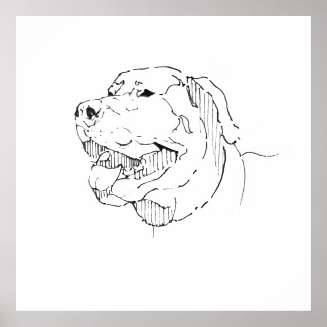 Labrador Retriever Ink Wall Art (Front)