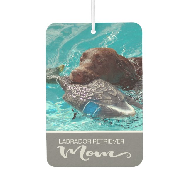 Labrador Retriever Insert Your Dog's Picture Car Air Freshener (Front)