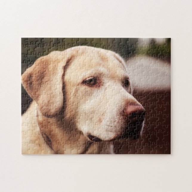 Labrador Retriever Jigsaw Puzzle (Horizontal)