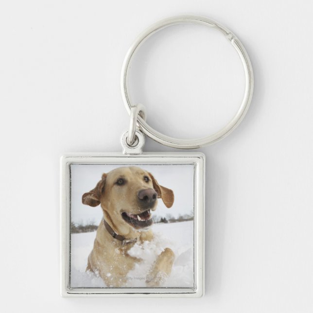 Labrador retriever jumping through deep snow key ring (Front)