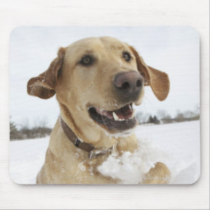 Labrador retriever jumping through deep snow mouse pad