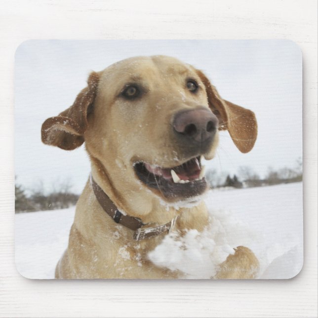 Labrador retriever jumping through deep snow mouse pad (Front)