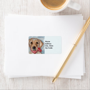 Labrador Retriever  Label