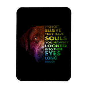 Labrador Retriever looked Into Their Eye Dog Lover Magnet