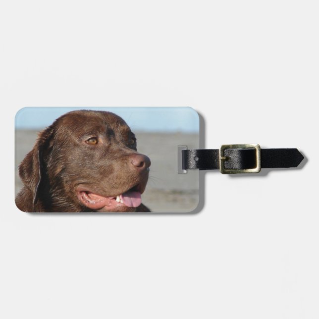 Labrador Retriever Luggage Tag (Front Horizontal)