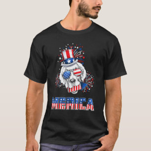Labrador Retriever Merica Firework 4th Of July Men T-Shirt