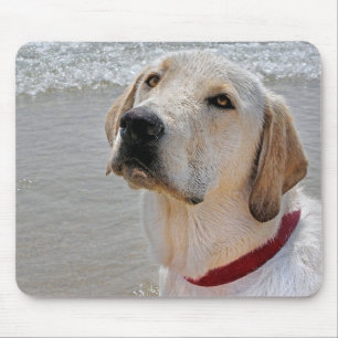Labrador Retriever Mouse Pad