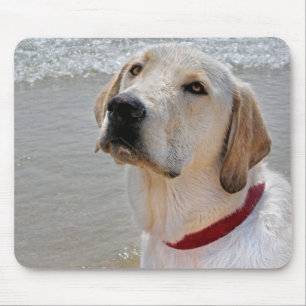 Labrador Retriever on the Beach Mouse Pad