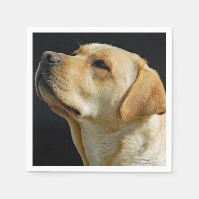 Labrador Retriever Paper Napkins (Front)