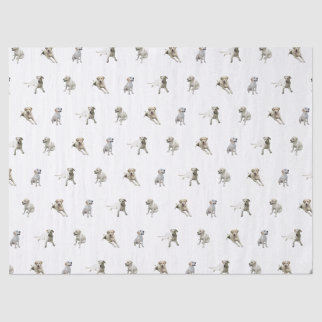 Labrador Retriever Pattern (White) Tissue Paper (Front)