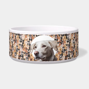 Labrador Retriever Personalise Photo & Name Dog