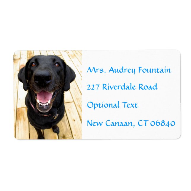 Labrador Retriever Personalised Name Address Label (Front)