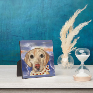 Labrador Retriever    Plaque