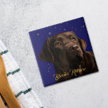 Labrador Retriever Portrait Starry Sky Background Tile<br><div class="desc">Anyone who has lost their heart to a regal Labrador Retriever Dog will love this tile! It features a gorgeous chocolate coloured Labrador Retriever looking up against a blue night sky filled with gold stars. The bottom has custom text in gold script that says "Labrador Retriever". You may customise the...</div>