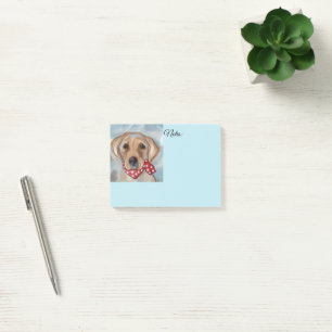 LABRADOR RETRIEVER  POST-IT NOTES