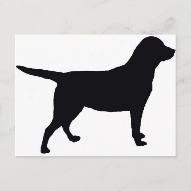 Labrador Retriever Postcard (Front)