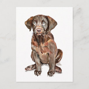 Labrador Retriever Postcard