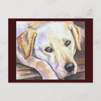 Labrador Retriever Postcard