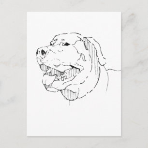 Labrador Retriever Postcard – Hand Drawn Ink