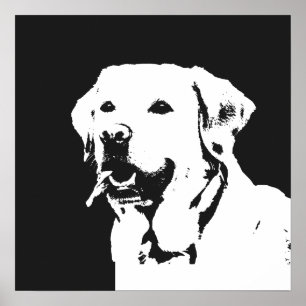 Labrador Retriever Poster