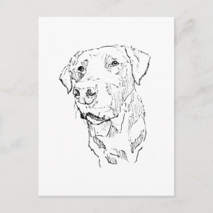 Labrador Retriever Poster Art, Wall Print Postcard