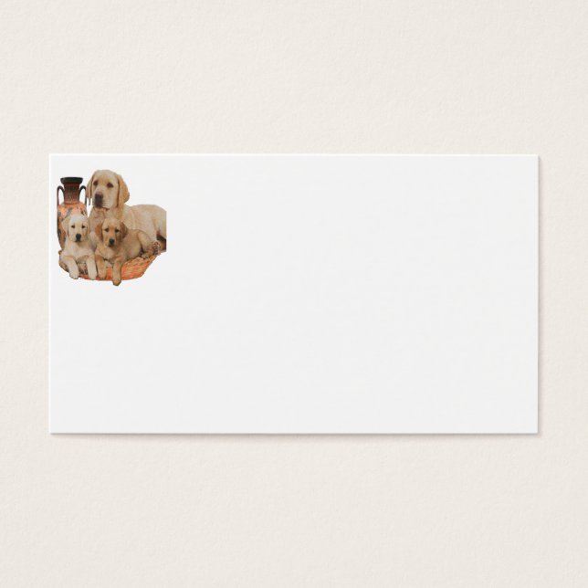 Labrador retriever products (Front)