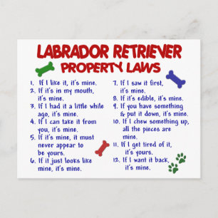 LABRADOR RETRIEVER Property Laws Postcard