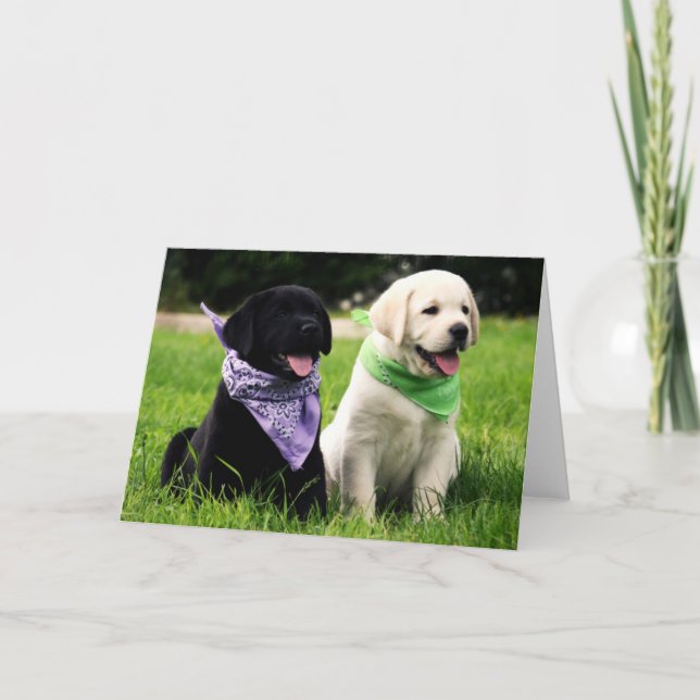 Labrador Retriever Puppies Blank Greeting Card (Front)