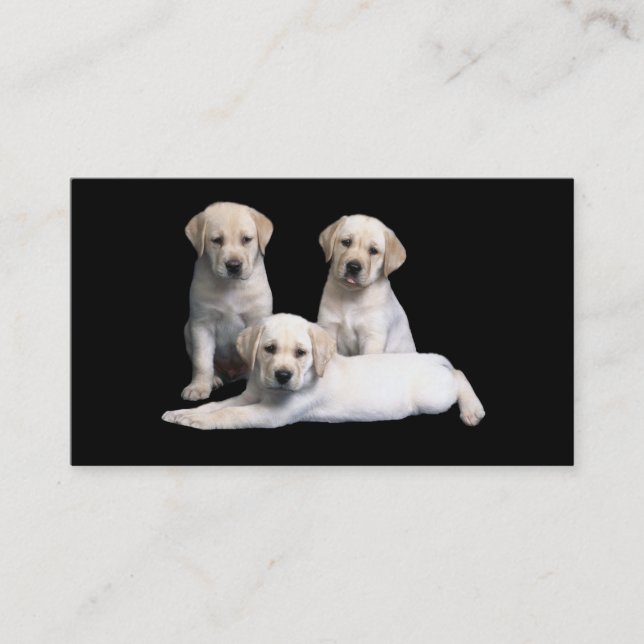 Labrador Retriever  Puppies Business Card (Front)