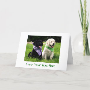 Labrador Retriever Puppies Greeting Card